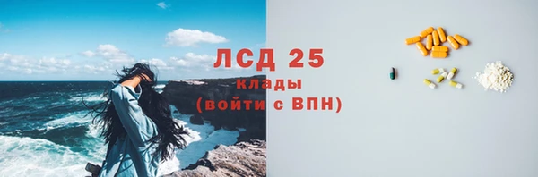 стафф Семилуки