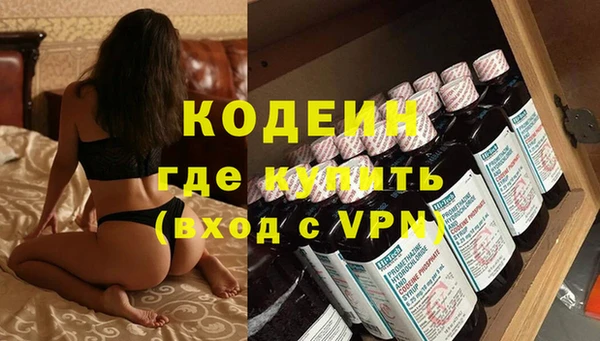 индика Семёнов