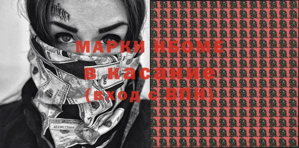 индика Семёнов
