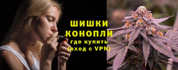 стафф Семилуки