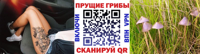 Галлюциногенные грибы ЛСД  Купить  Дятьково 